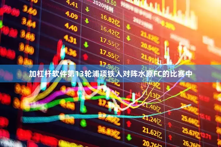 加杠杆软件第13轮浦项铁人对阵水原FC的比赛中