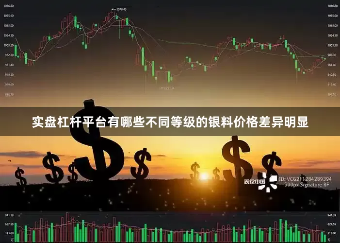 实盘杠杆平台有哪些不同等级的银料价格差异明显