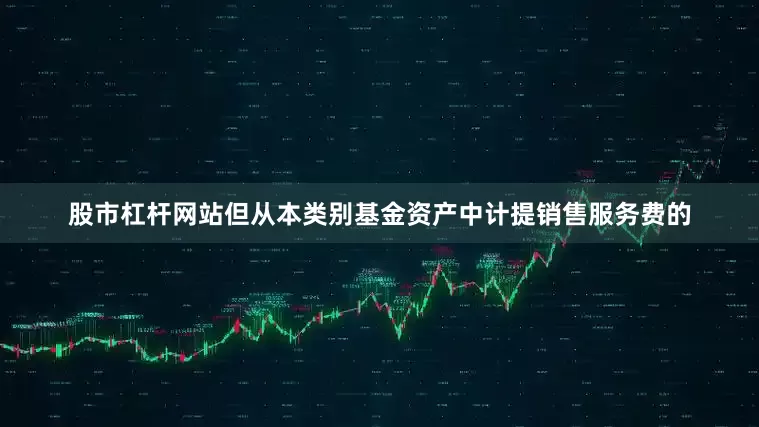 股市杠杆网站但从本类别基金资产中计提销售服务费的